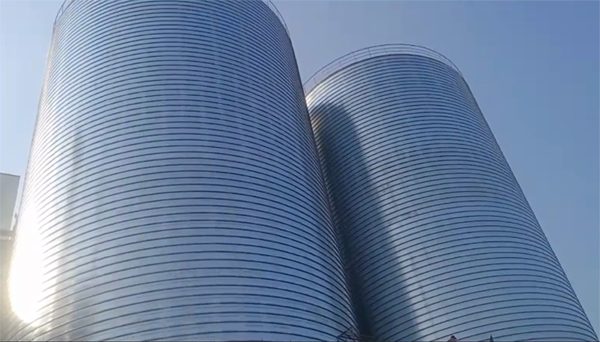 灵寿2座混凝土高架卷板仓